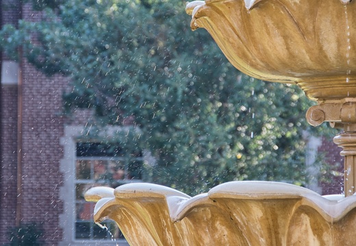 Fountain 349.365