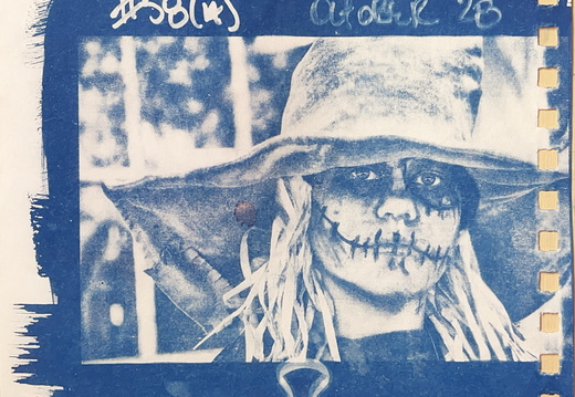 365 No. 6: Cyanotypes 